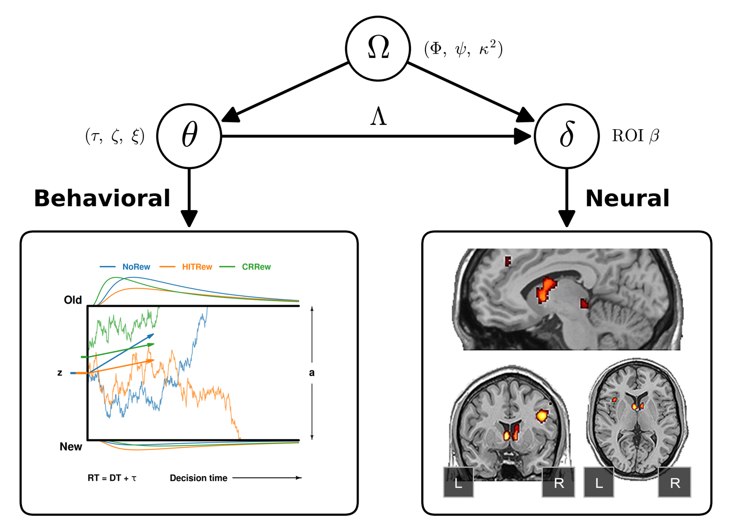 Schematic of the joint modeling framework linking a behavioral and a neural submodel.