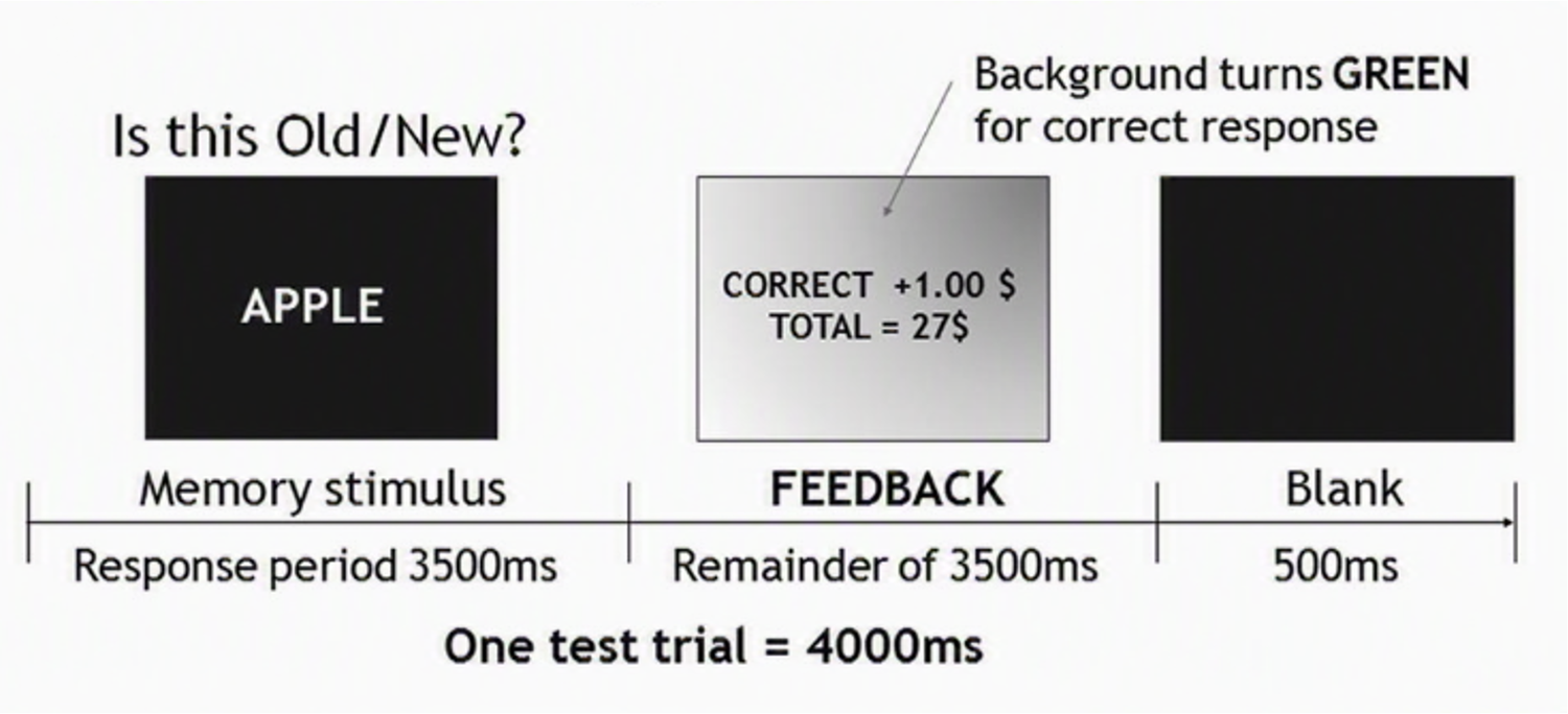 Trial timeline: a memory stimulus screen asking 'Is this Old/New?' during a 3500 millisecond response period, followed by a feedback screen showing the amount won and a running total, then a 500 millisecond blank. One test trial totals 4000 milliseconds.